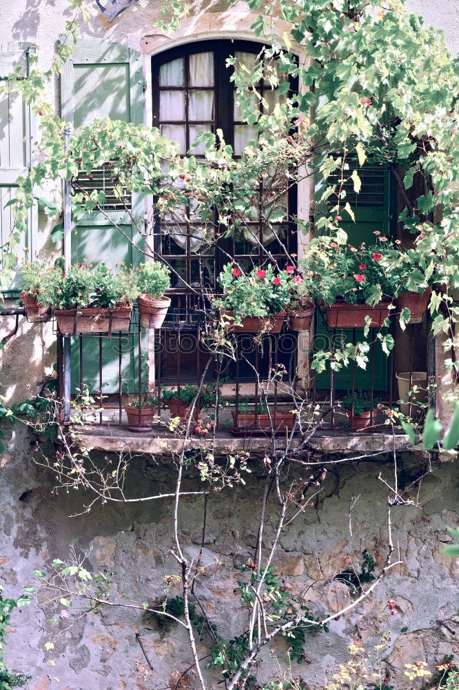 Similar – Image, Stock Photo The house at the lake