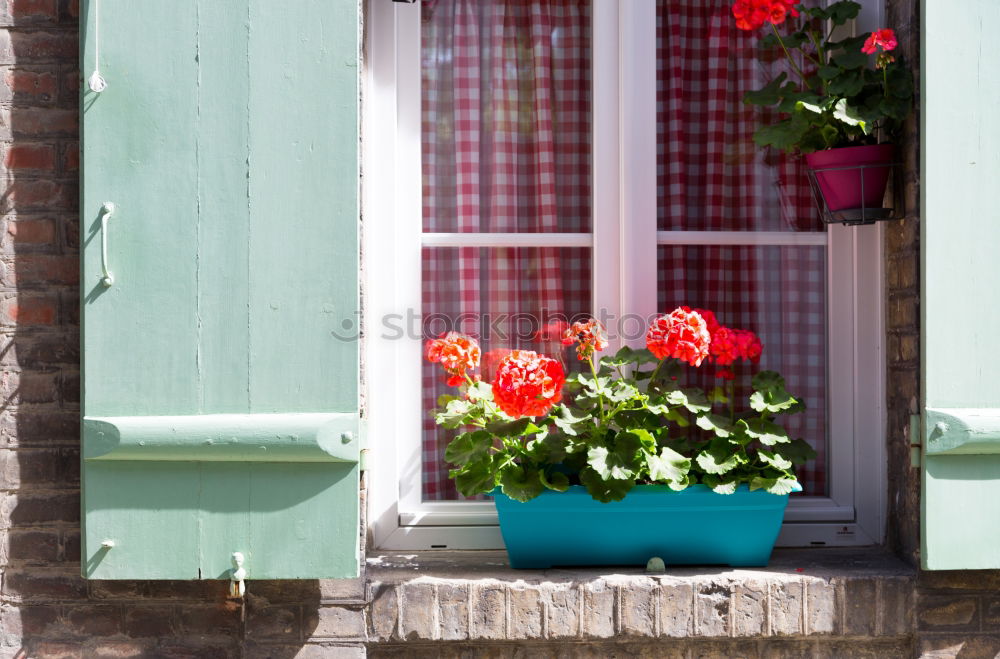 Similar – Purple flowers in front of pink garden furniture