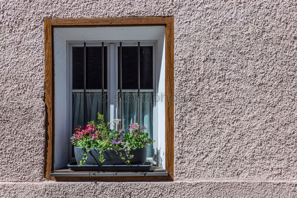 Similar – Image, Stock Photo Garage, wall, pipe and bush