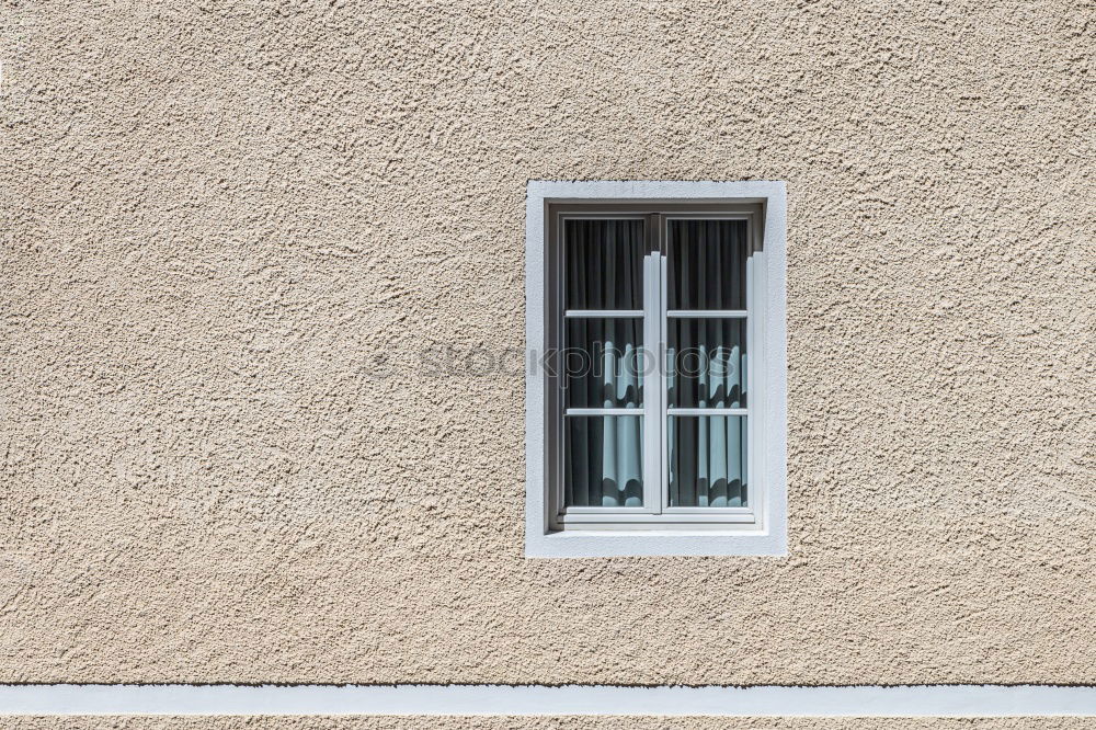 Similar – Image, Stock Photo Christmas tree in front of the window