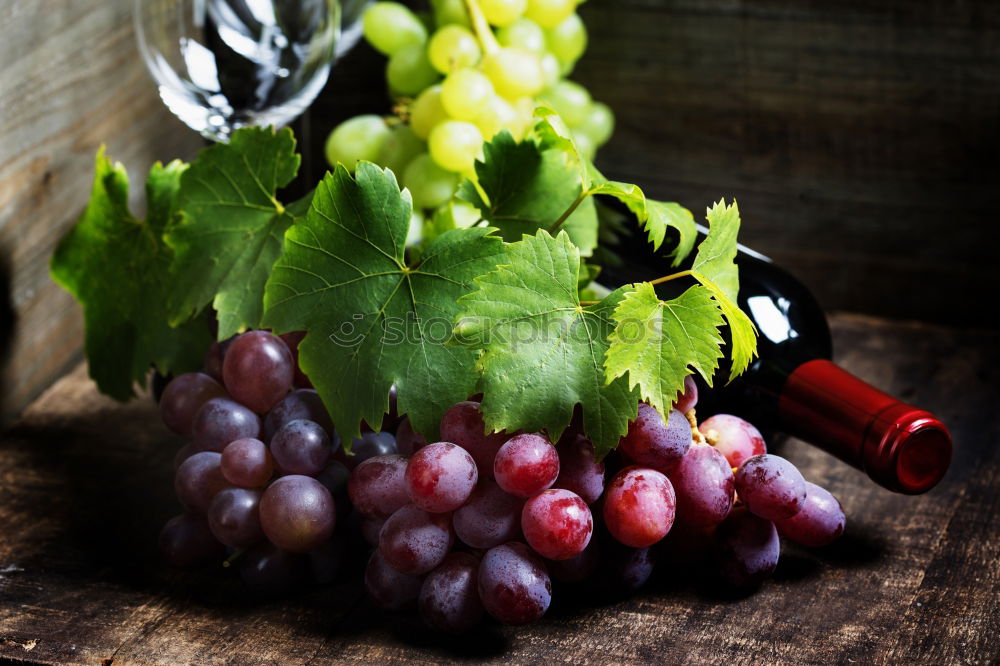 Similar – Image, Stock Photo harvest grapes Food Fruit