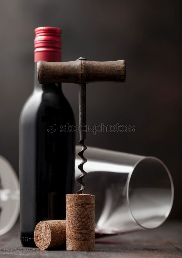 Similar – Red wine bottle and red wine glass with grapes