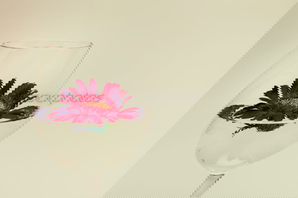 Similar – Image, Stock Photo Self-Made Table Decoration
