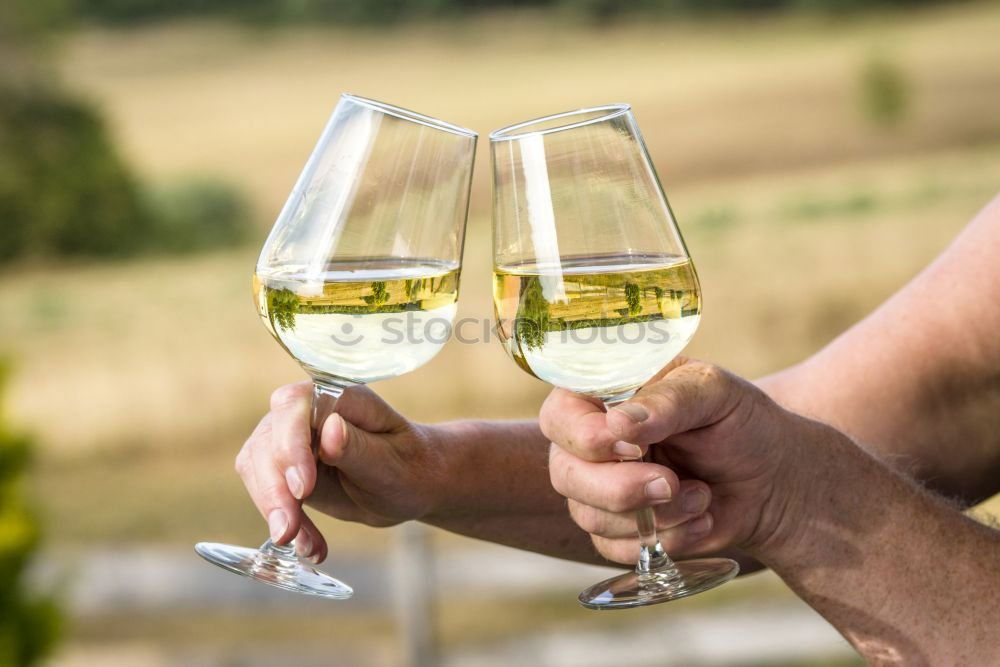 Similar – Image, Stock Photo Wine glasses with reflections of beautiful nature