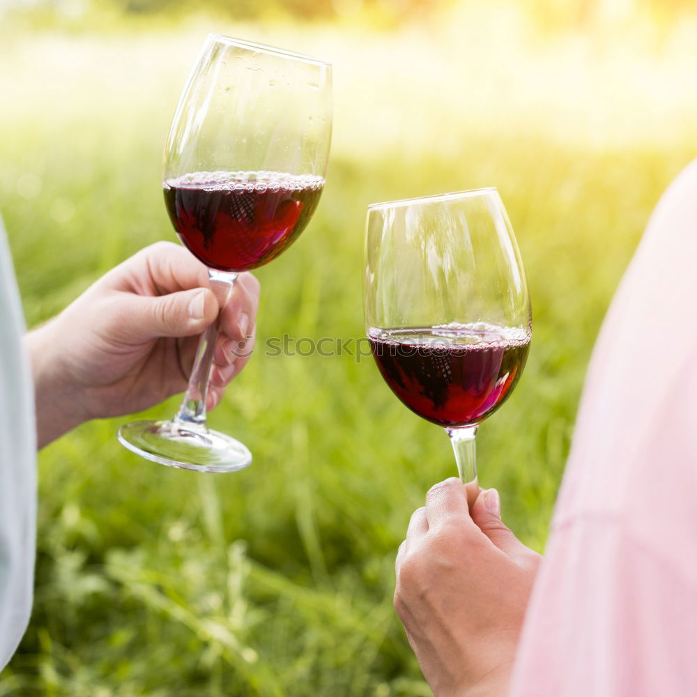 Similar – Image, Stock Photo White wine in a garden with wine glasses