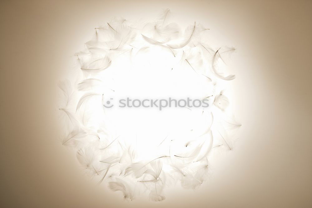 Similar – Image, Stock Photo Stars made of greaseproof paper in front of an old brown set box