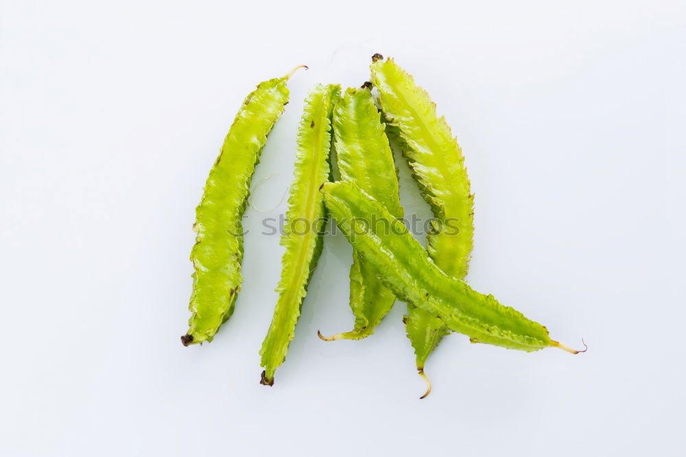 Similar – Image, Stock Photo A portion of green asparagus, freshly harvested from the local field, decorated with a plaid ribbon of cloth, tied together, lies in the light on the table, on a white cloth of linen.