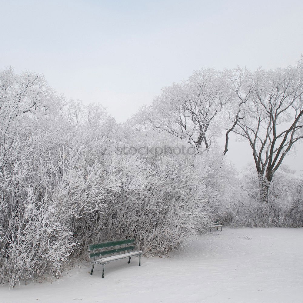 Similar – Picknik-Area Umwelt Natur