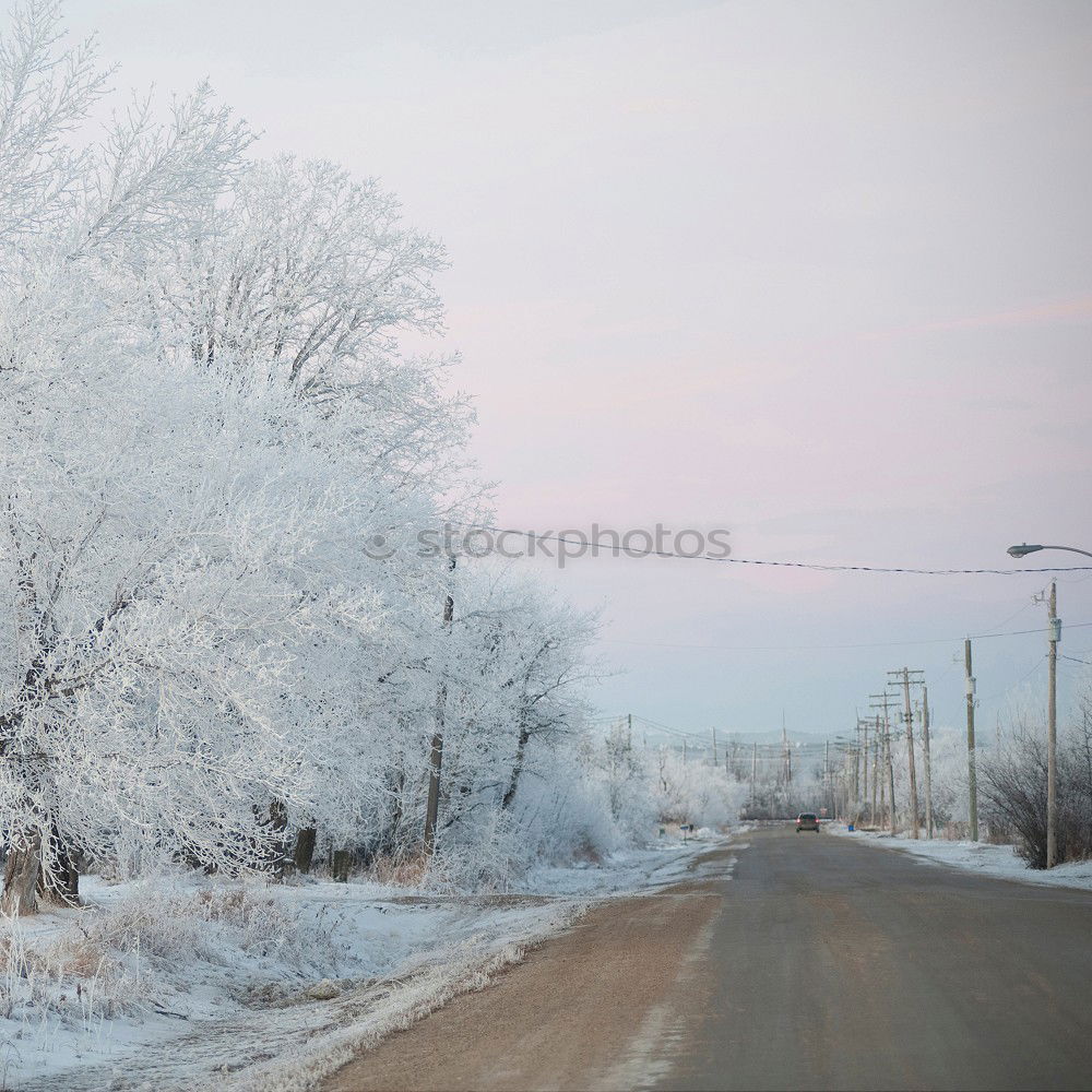 Similar – Snowy road Subdued colour