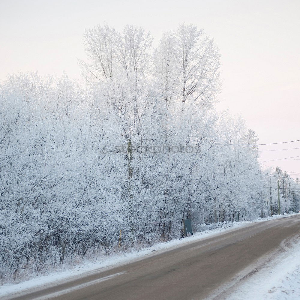 Similar – Snowy road Subdued colour