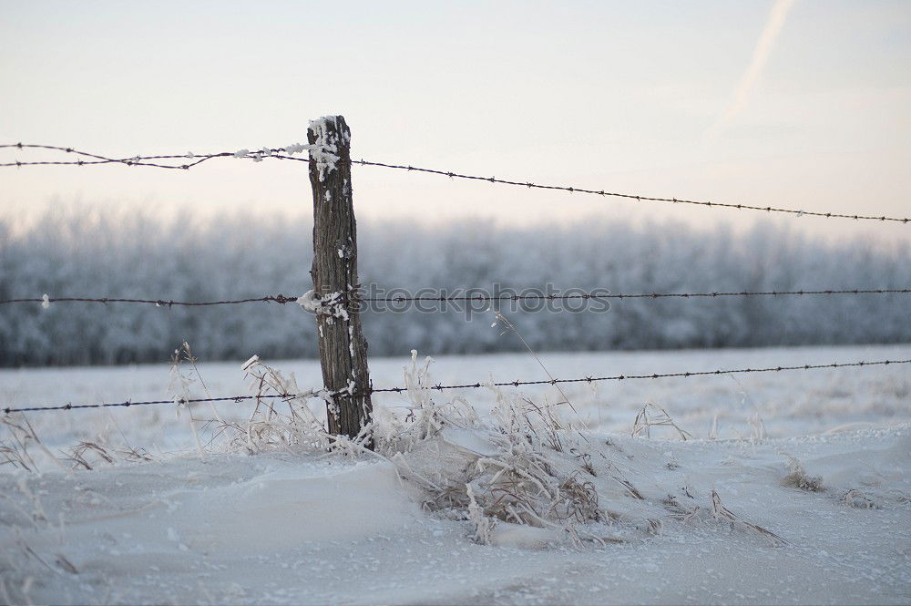 Similar – Image, Stock Photo Winter Impression_III Cold