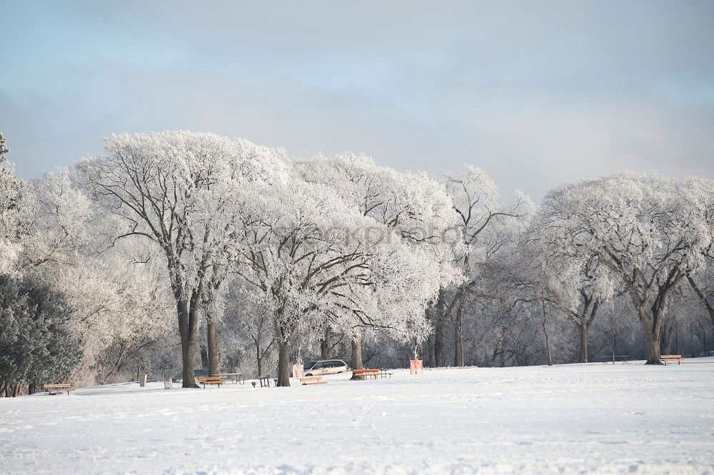 Similar – Foto Bild Winterdom Sightseeing