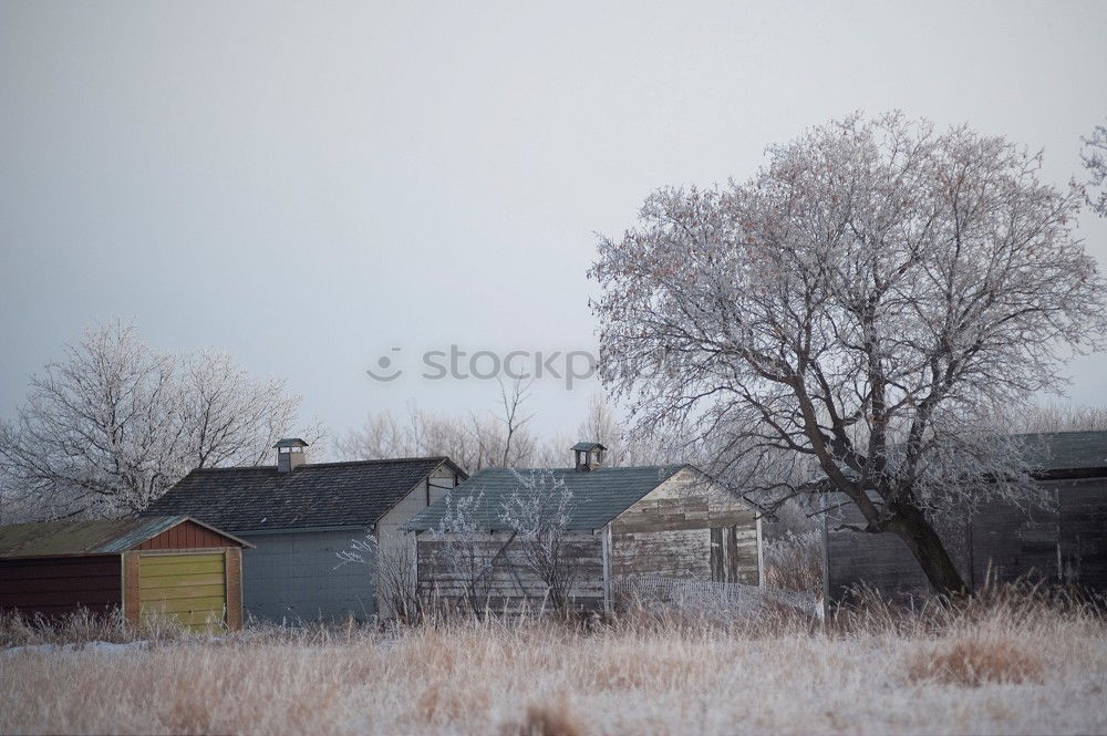 Similar – Haßleben Himmel Winter