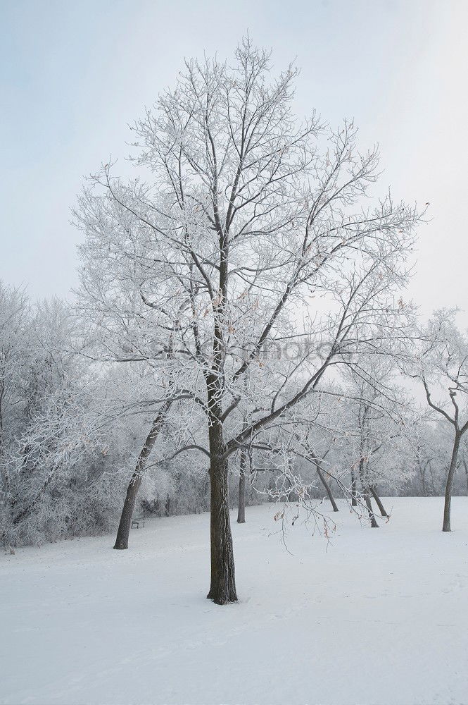 Similar – Picknik-Area Umwelt Natur