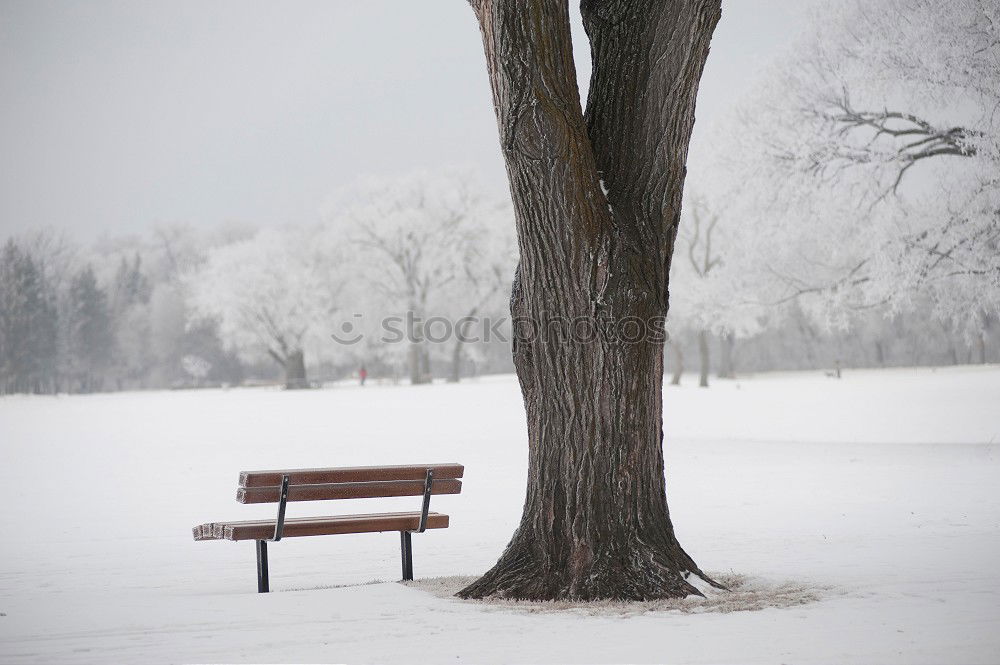 Similar – Ruhepunkt Winter Schnee