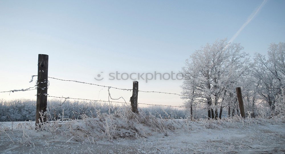 Similar – Image, Stock Photo Winter Impression_III Cold