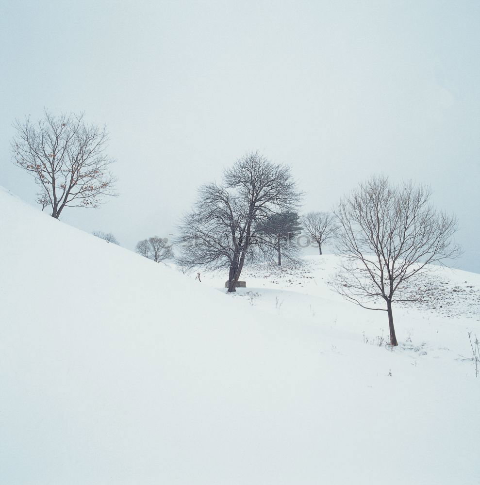 Similar – Image, Stock Photo Welcome to the snow depot