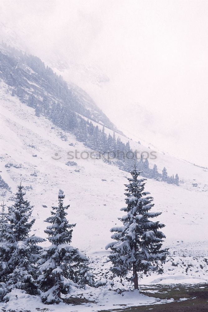 Similar – Road in beautiful winter mountains