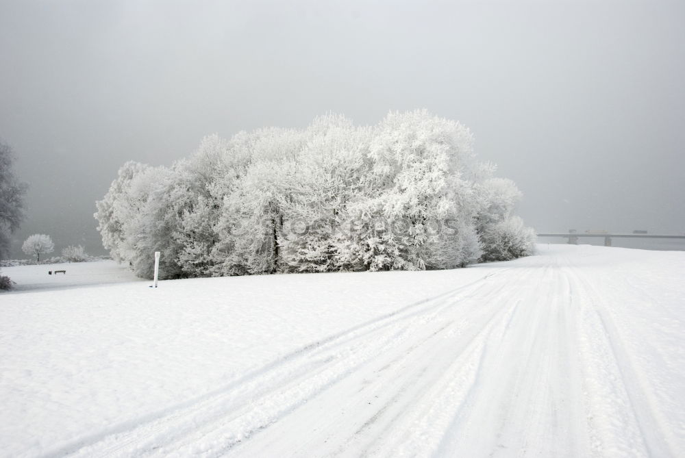 Similar – parken Ikon Feld Baum