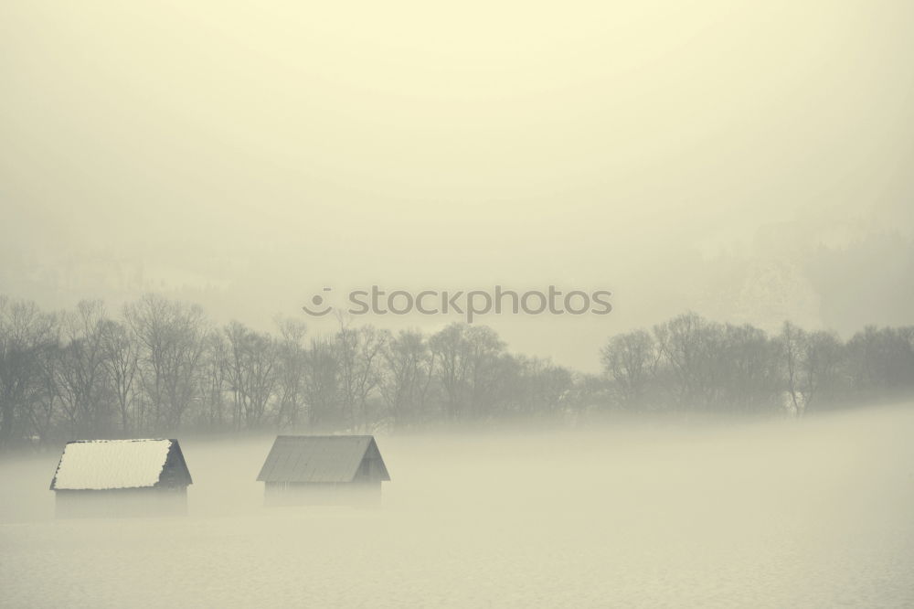 Image, Stock Photo Winter in the country