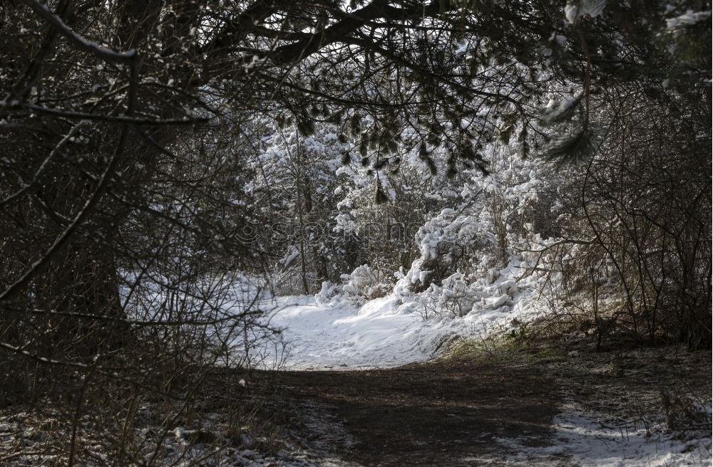 Similar – Image, Stock Photo On a winter night.