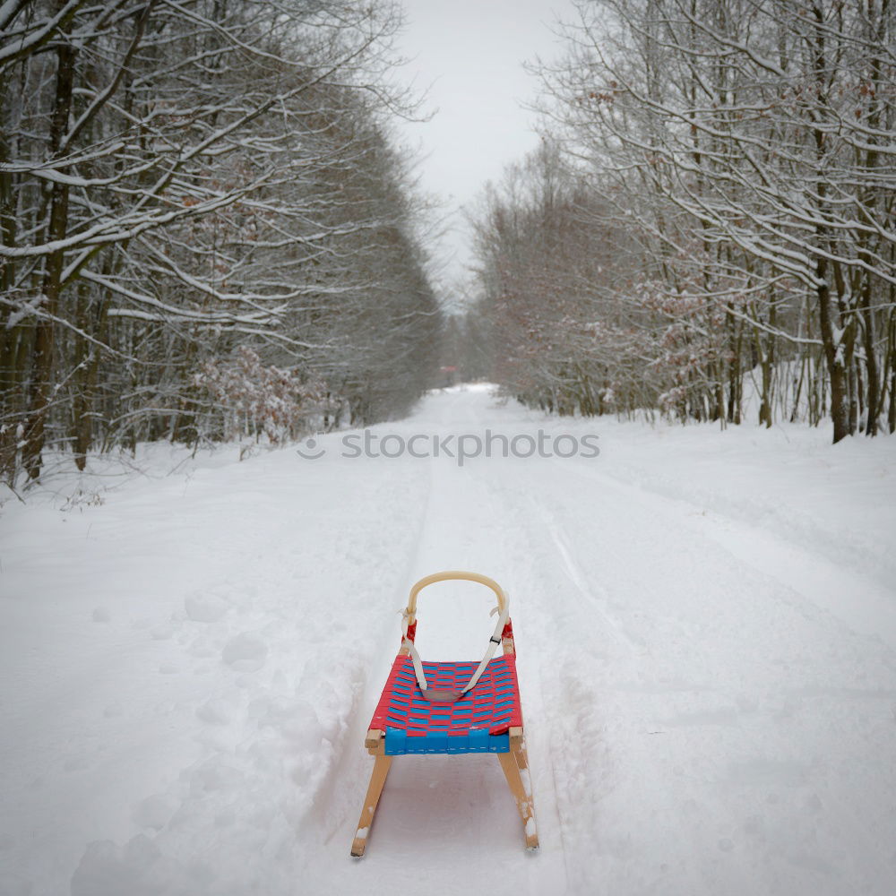 Similar – A woman pulls a sled through the snow. Winter atmosphere.