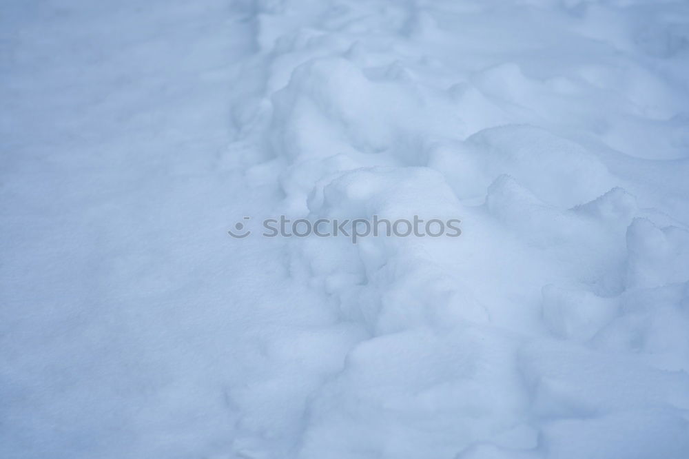 Similar – Image, Stock Photo Winter fun II Ice