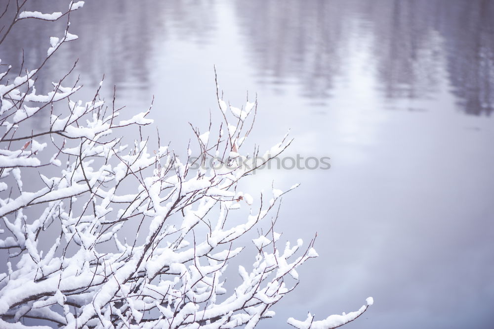 Similar – Image, Stock Photo Winter Blues II