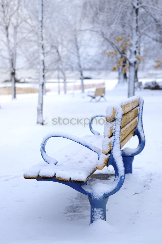 Similar – Image, Stock Photo snowboard Snow