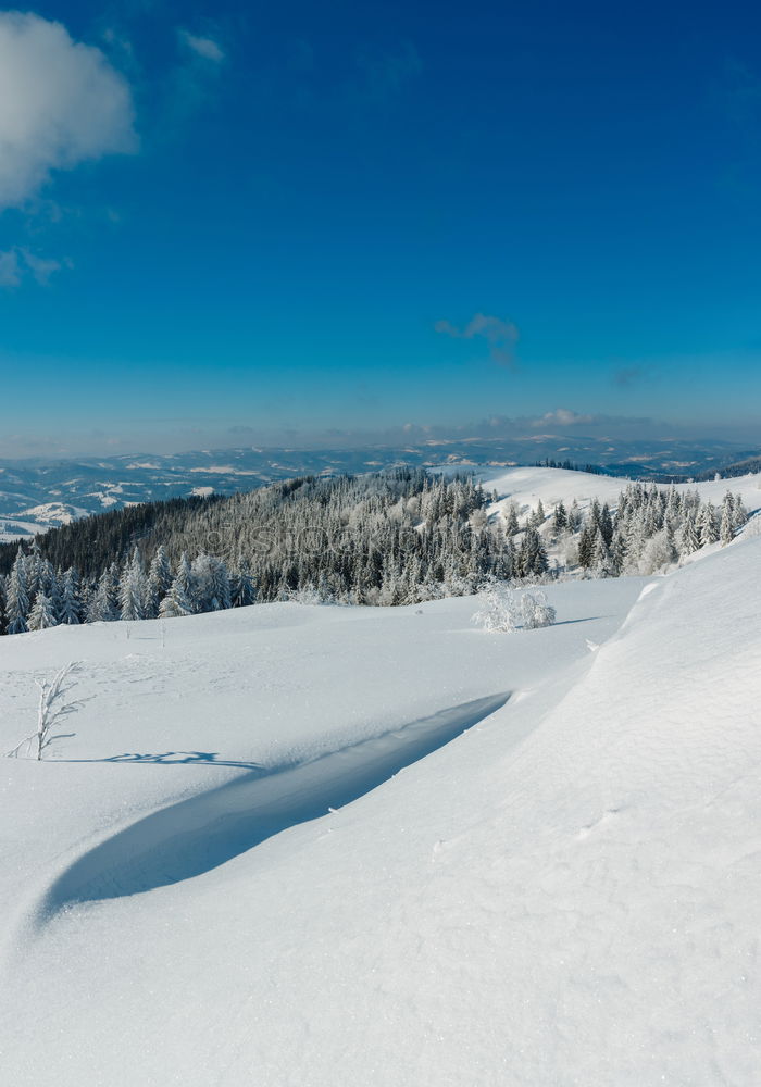 Similar – Image, Stock Photo On the piste Mountain