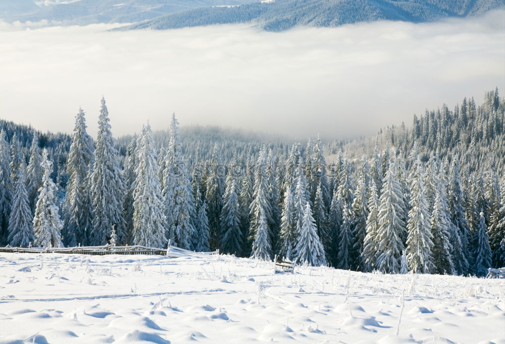 Similar – Image, Stock Photo tourism Snow Winter Ice