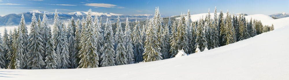 Similar – Talabfahrt Natur