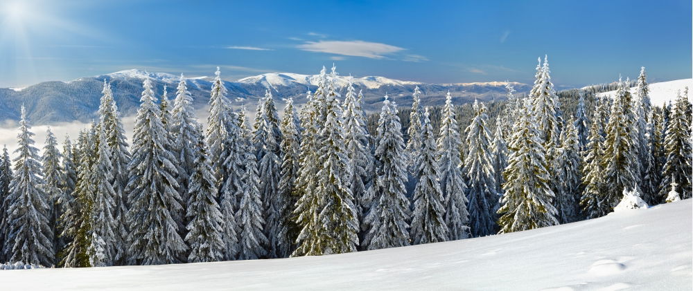 Image, Stock Photo winter hike in the northern Black Forest on a sunny day