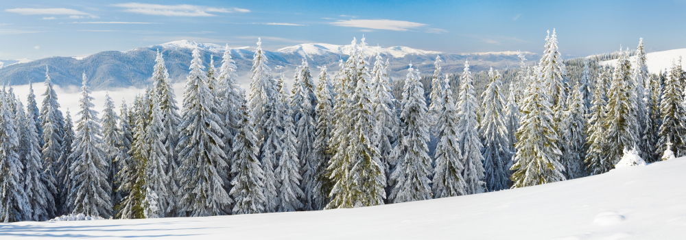 Similar – winter magic Fence Winter