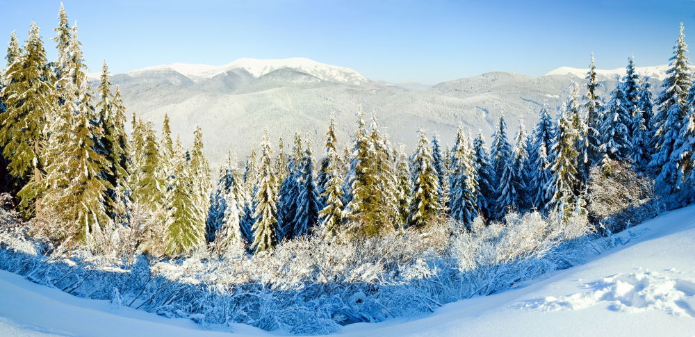 Similar – Image, Stock Photo cabin panorama Winter