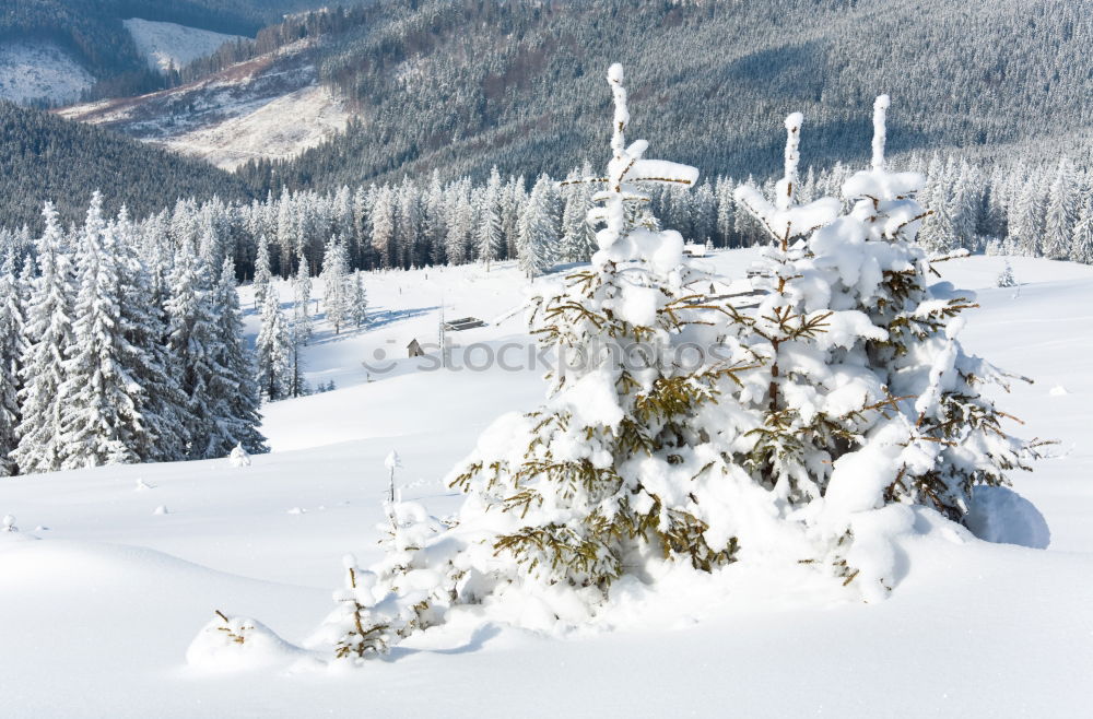 Similar – Zur Almhütte