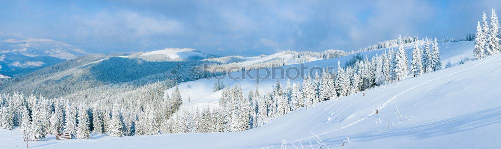 Similar – Image, Stock Photo winter sun Skiing