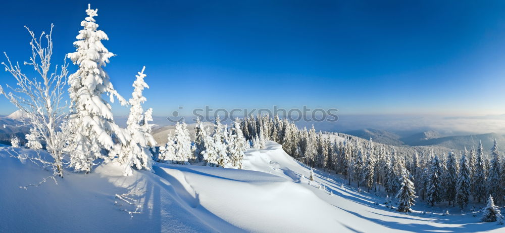 Similar – Image, Stock Photo Fairytale II Winter White