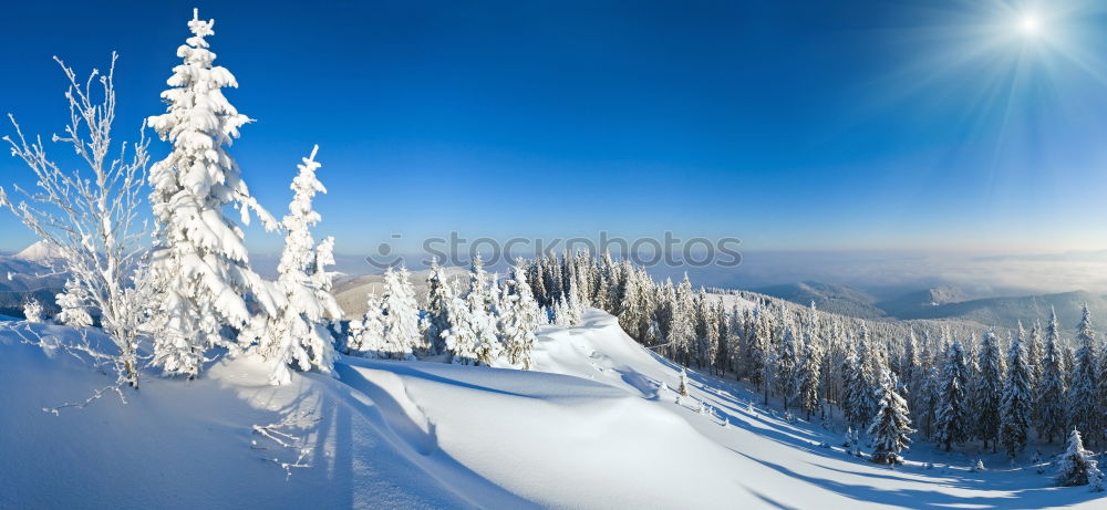 Similar – Image, Stock Photo Fairytale II Winter White