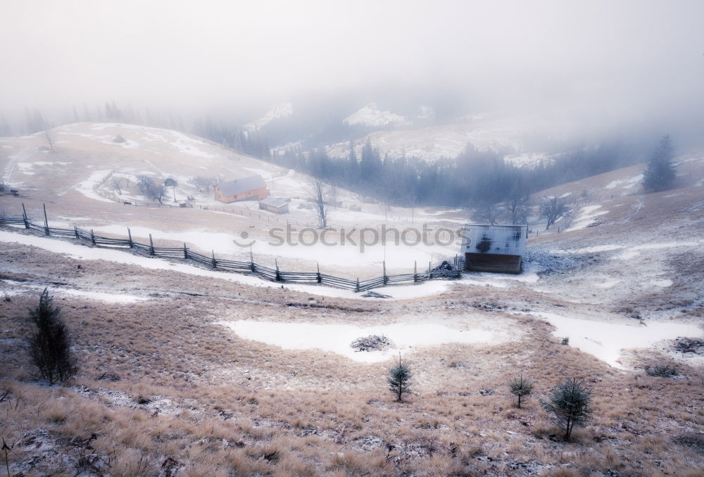 Similar – Image, Stock Photo First snow in autumn. Snowfall in mountains. Snow and fog