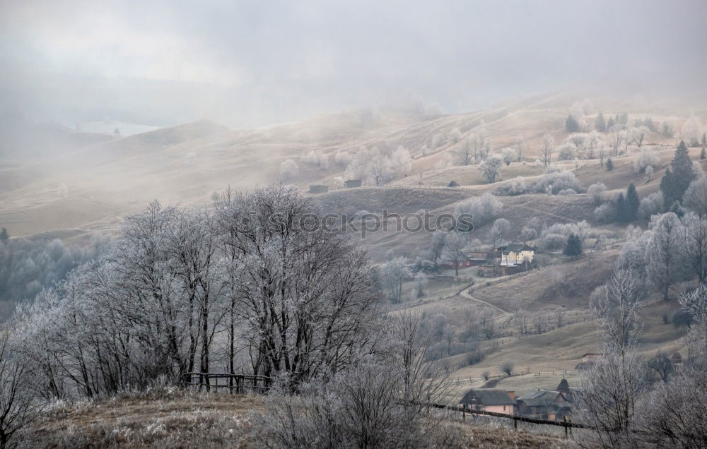 Similar – Image, Stock Photo First snow in autumn. Snowfall in mountains. Snow and fog