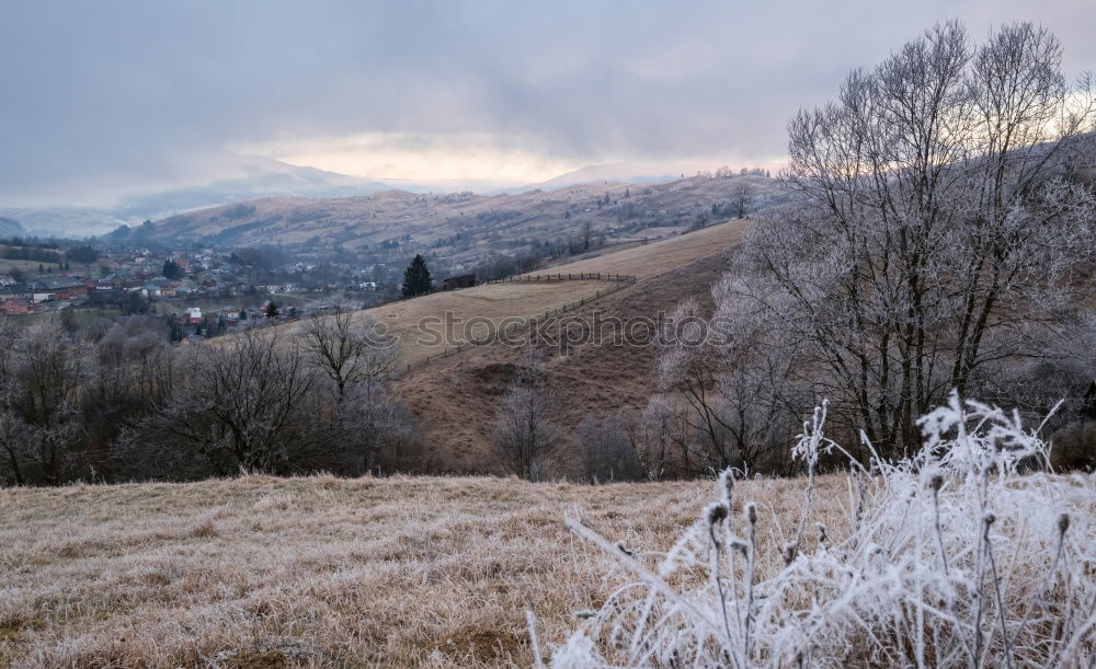 Similar – Image, Stock Photo Almöhi today has four-wheel drive