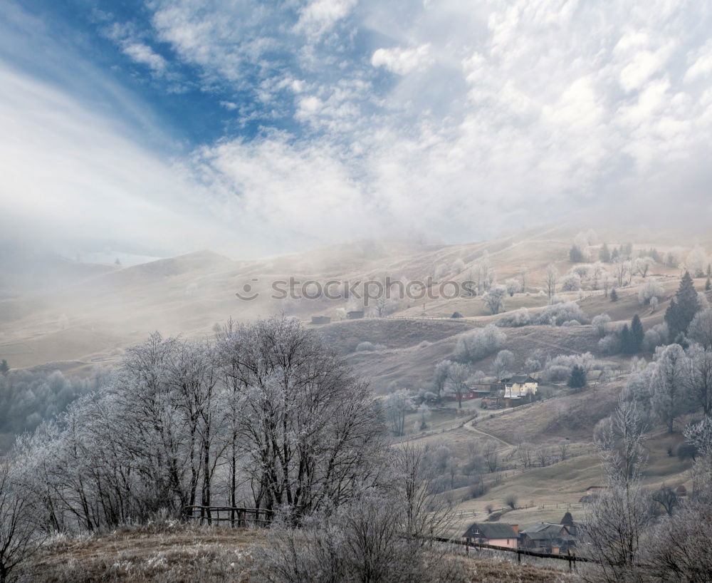 Image, Stock Photo Autumn forest and snowy mountains