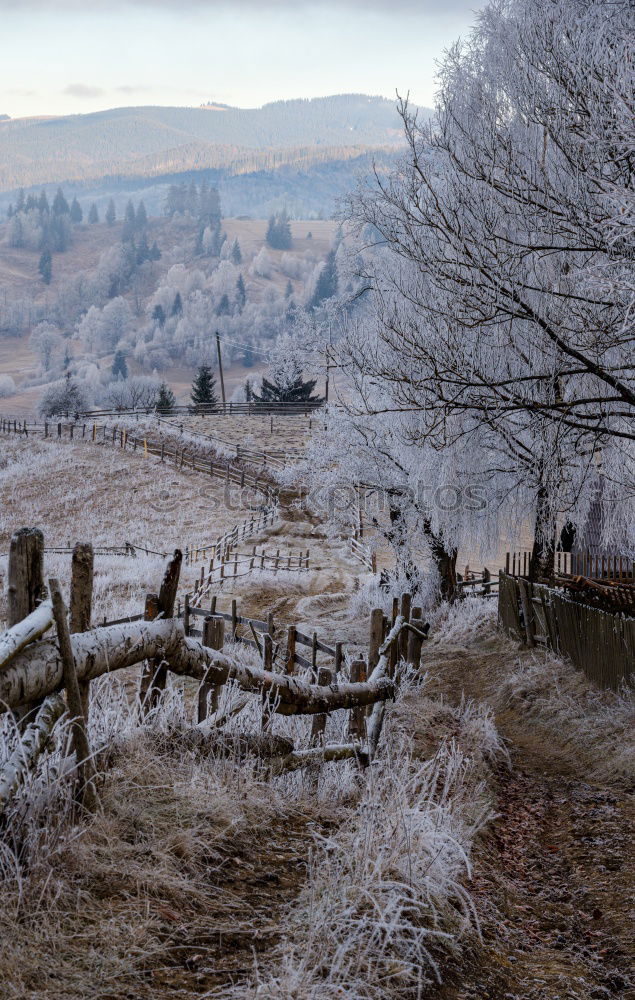 Similar – Image, Stock Photo View into the valley Fog