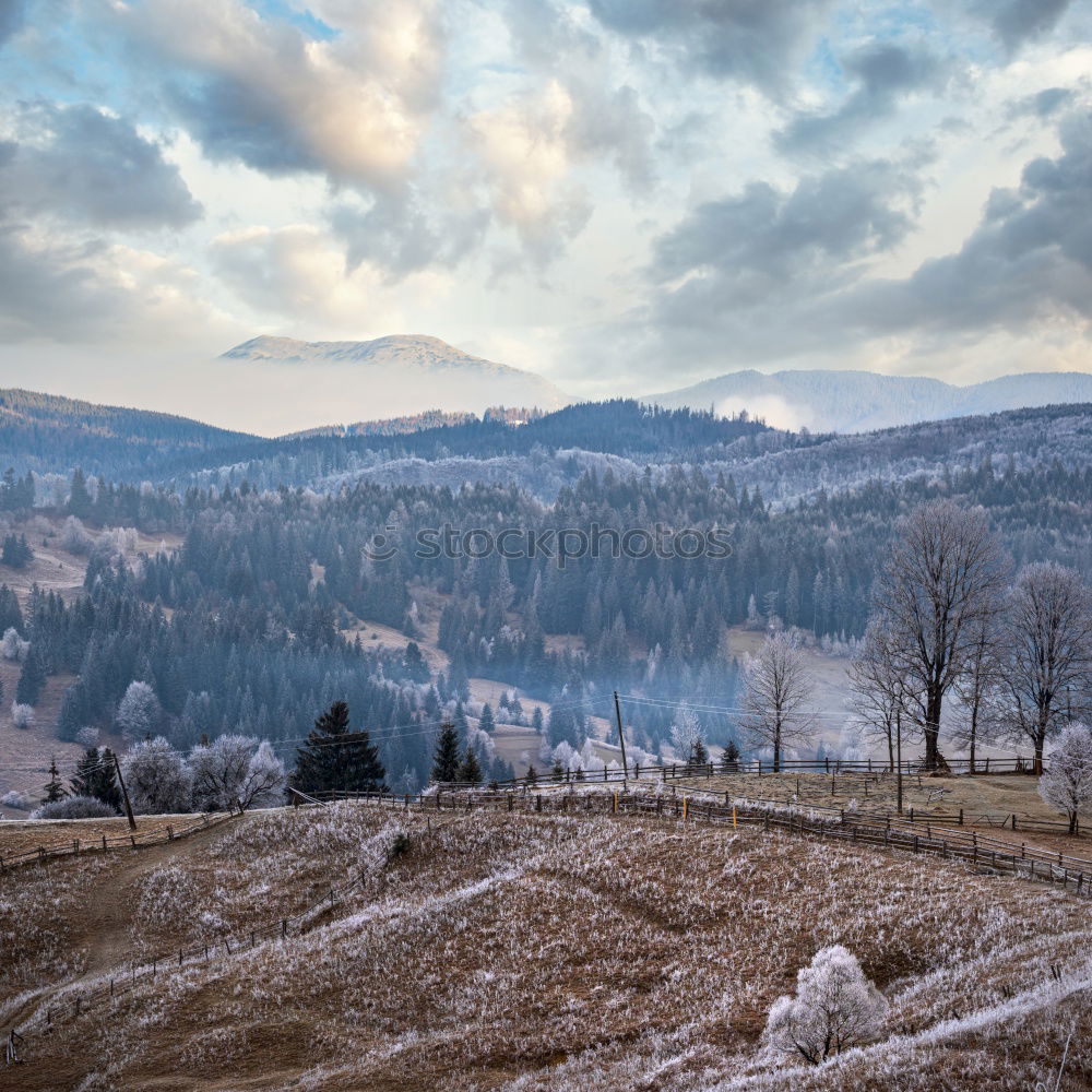 Similar – Foto Bild Bergen · Norwegen Ferne