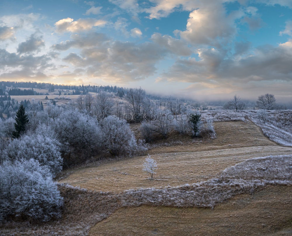 Similar – Image, Stock Photo View into the valley Fog