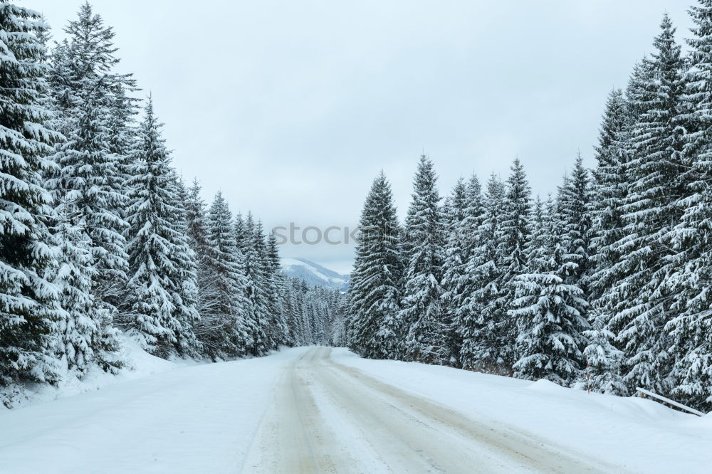 Similar – Image, Stock Photo Road in forest in snow