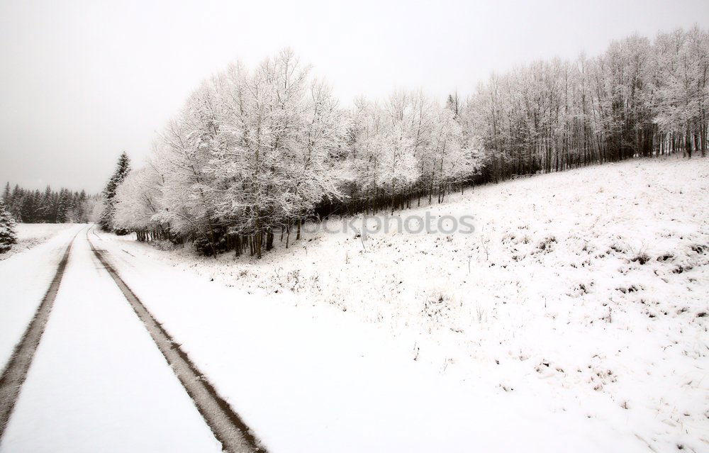 Similar – room divider Nature Winter