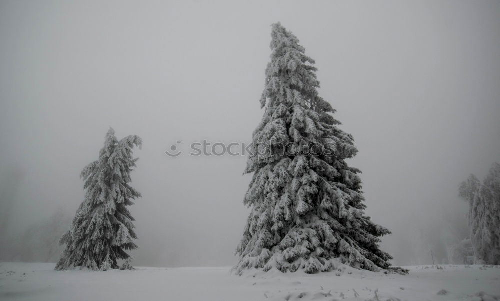 Similar – winter landscape Winter