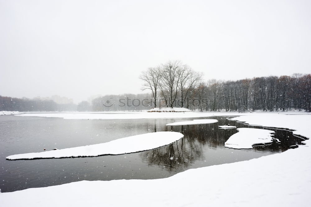 Similar – Image, Stock Photo autumn fog Environment